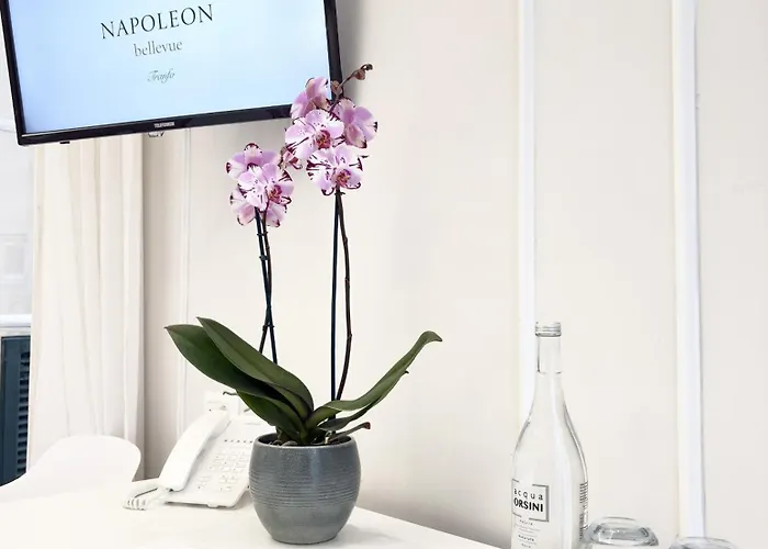 Napoleon 4* Тропея