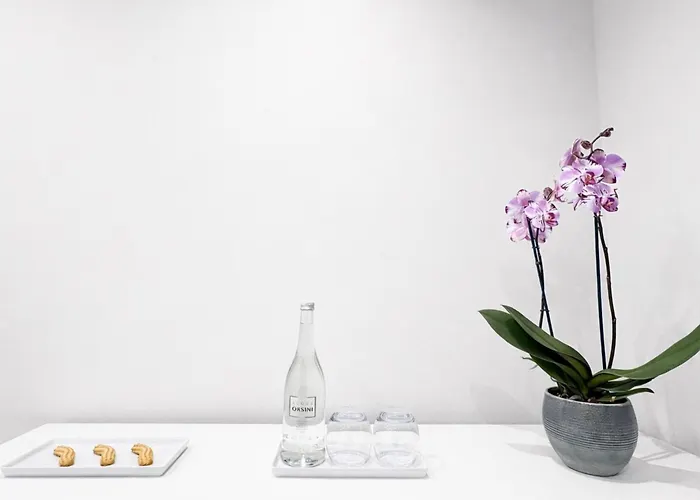 Napoleon Гостевой дом