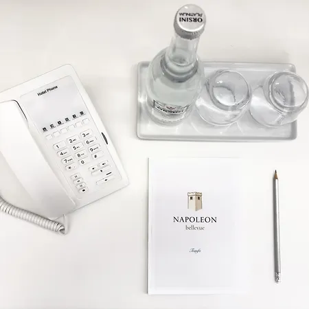 Napoleon Gasthuis 4*