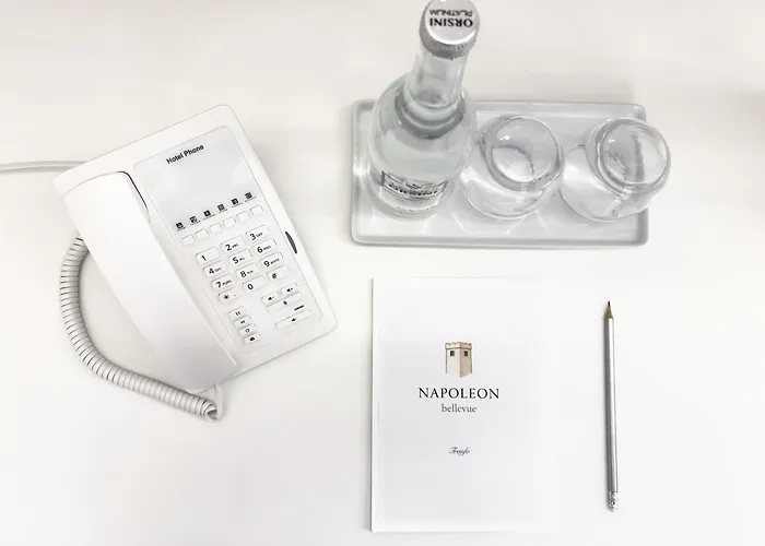 Napoleon 招待所 4*